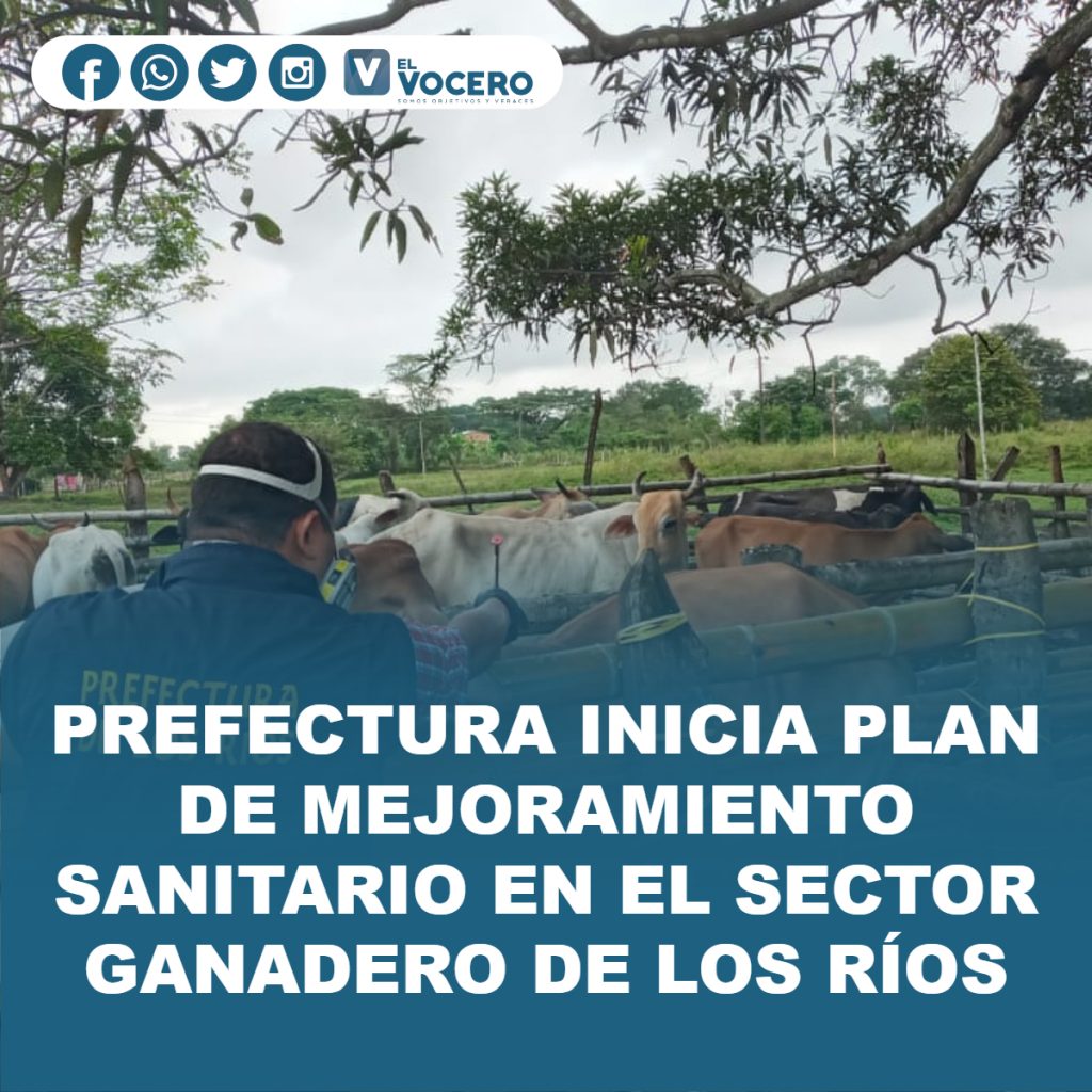 PREFECTURA INICIA PLAN DE MEJORAMIENTO SANITARIO EN EL SECTOR GANADERO DE LOS RÍOS