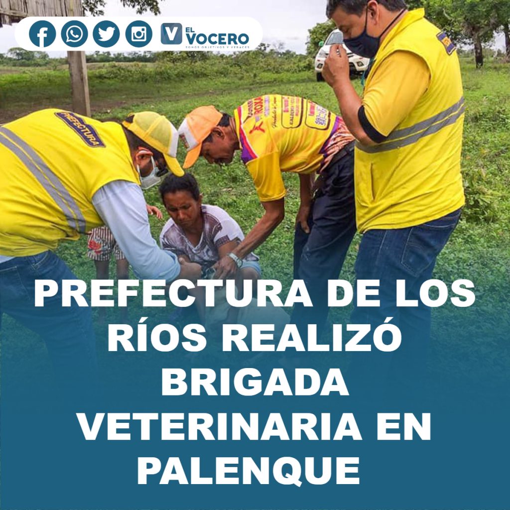PREFECTURA DE LOS RÍOS REALIZÓ BRIGADA VETERINARIA EN PALENQUE