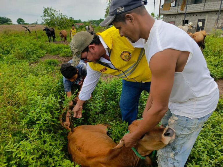La Prefectura de Los Ríos garantiza el bienestar de los ganados de nuestra conmunidad riosense.