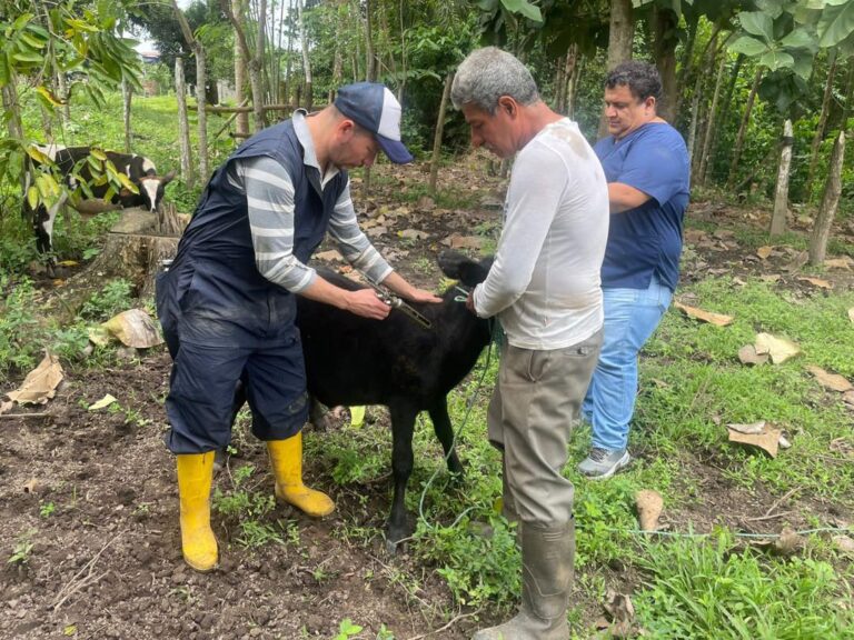 PREFECTURA DE LOS RÍOS EJECUTÓ BRIGADA VETERINARIA