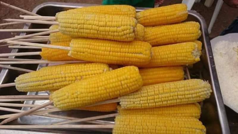 Vinces expondrá sus saberes en fiesta del choclo