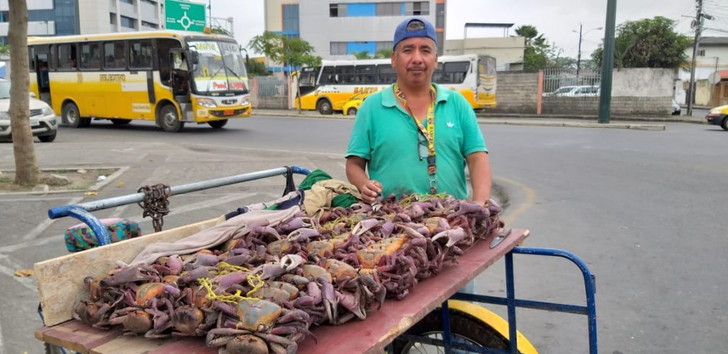 Hasta este miércoles se podrán degustar los deliciosos cangrejos
