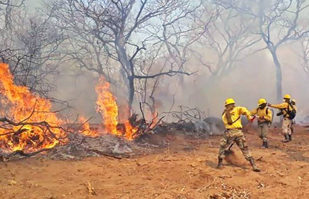 Humo de incendios en Brasil y Bolivia llega a Amazonía de Perú