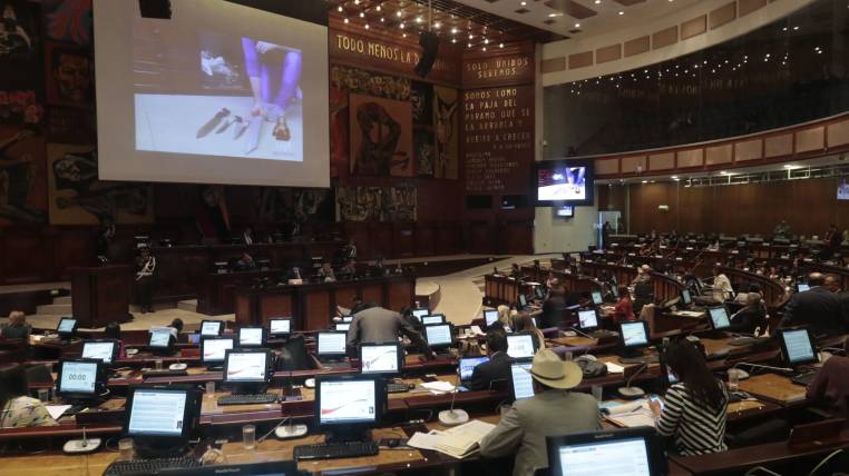 COIP: Litardo salvó el debate