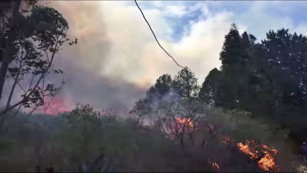 Quilanga declarada en emergencia por incendio que afecta pastizales y sembríos
