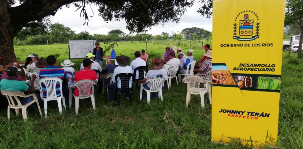 Gobierno de Los Ríos impulsa las escuelas de campo para mejoramiento de la productividad ganadera