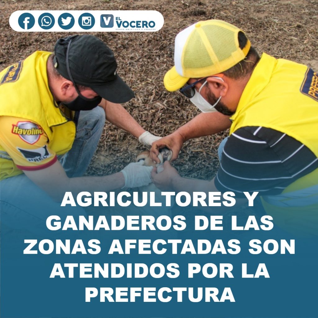 AGRICULTORES Y GANADEROS DE LAS ZONAS AFECTADAS SON ATENDIDOS POR LA PREFECTURA