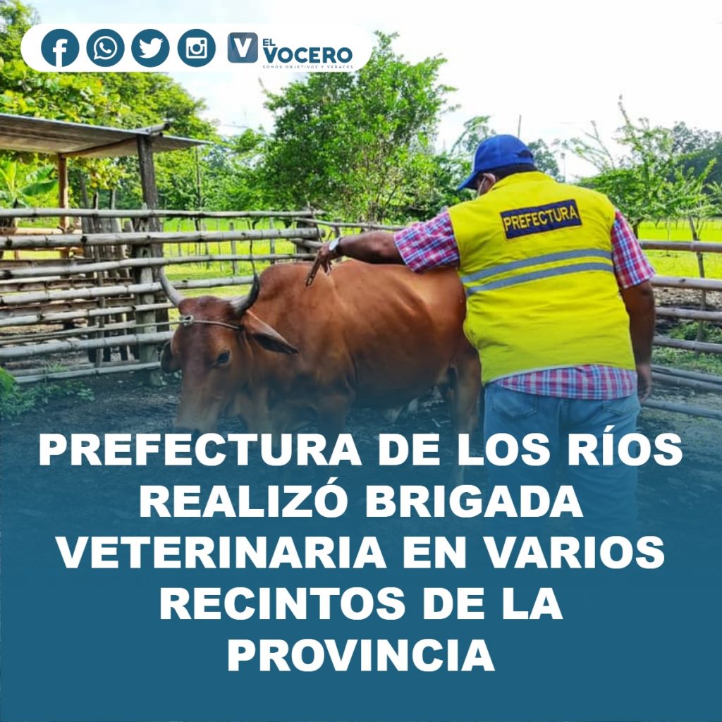 PREFECTURA DE LOS RÍOS REALIZÓ BRIGADA VETERINARIA EN VARIOS RECINTOS DE LA PROVINCIA