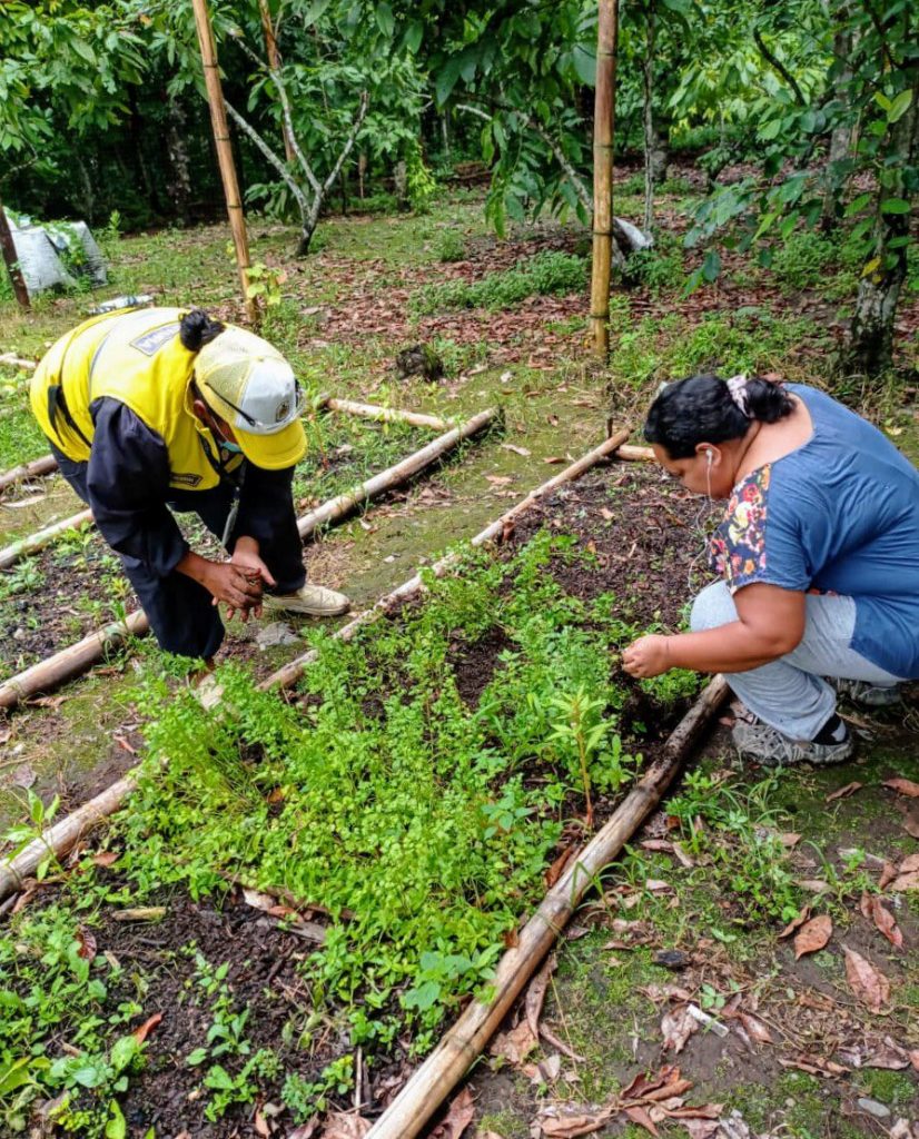 PREFECTURA DE LOS RÍOS IMPULSA HUERTOS ORGÁNICOS EN MOCACHE