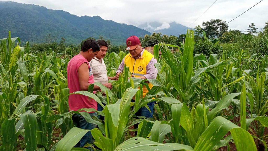 PREFECTURA DE LOS RÍOS BRINDÓ ASESORIA A AGRICULTORES DE MONTALVO