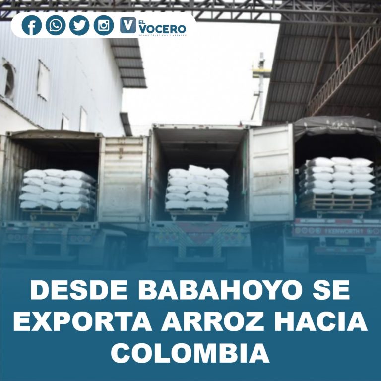 DESDE BABAHOYO SE EXPORTA ARROZ HACIA COLOMBIA