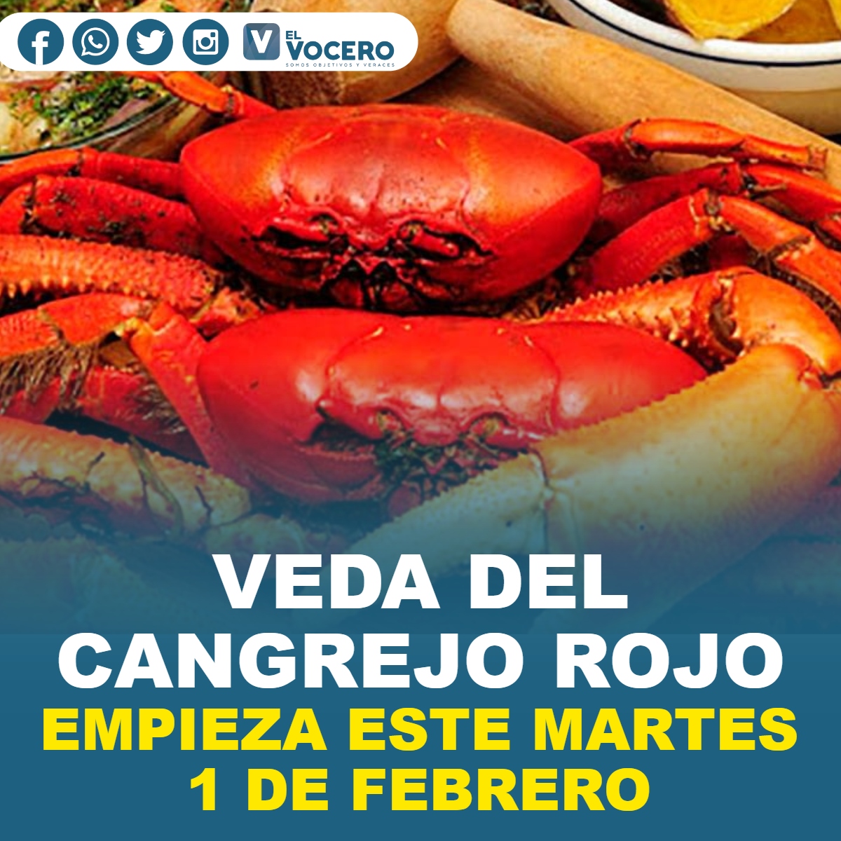 VEDA DEL CANGREJO ROJO EMPIEZA ESTE MARTES 1 DE FEBRERO El Vocero