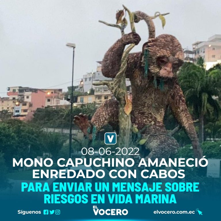 MONO CAPUCHINO AMANECIÓ ENREDADO CON CABOS PARA ENVIAR UN MENSAJE SOBRE RIESGOS EN VIDA MARINA