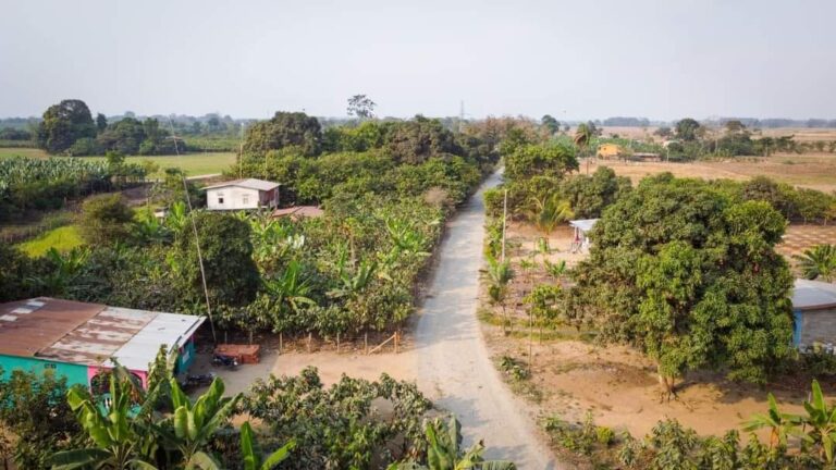 NUEVA RUTA DE LA PRODUCCIÓN